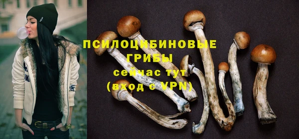 наркотики Бородино